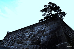 この場所は　いつも時代の重さを教えてくれる