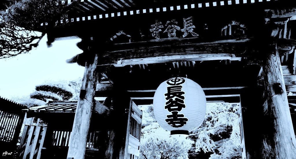 鎌倉の長谷寺です