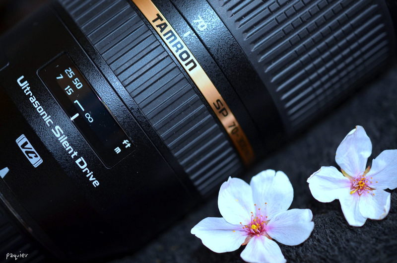 また来年　綺麗に撮ってね　タムロンさん・・・