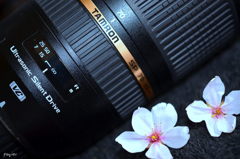 また来年　綺麗に撮ってね　タムロンさん・・・