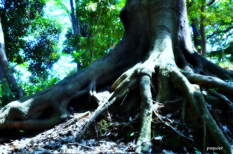 小動物の休憩所