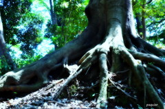 小動物の休憩所