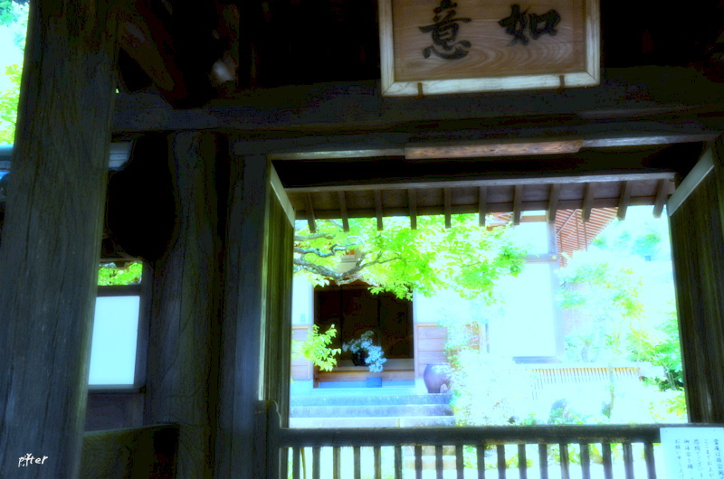 鳥の声は　何故聞こえないのか？