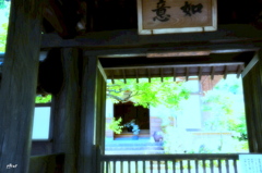 鳥の声は　何故聞こえないのか？