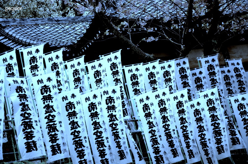 ここに吹く風は違う香りがする