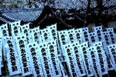 ここに吹く風は違う香りがする