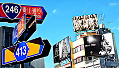 で、また上を見る