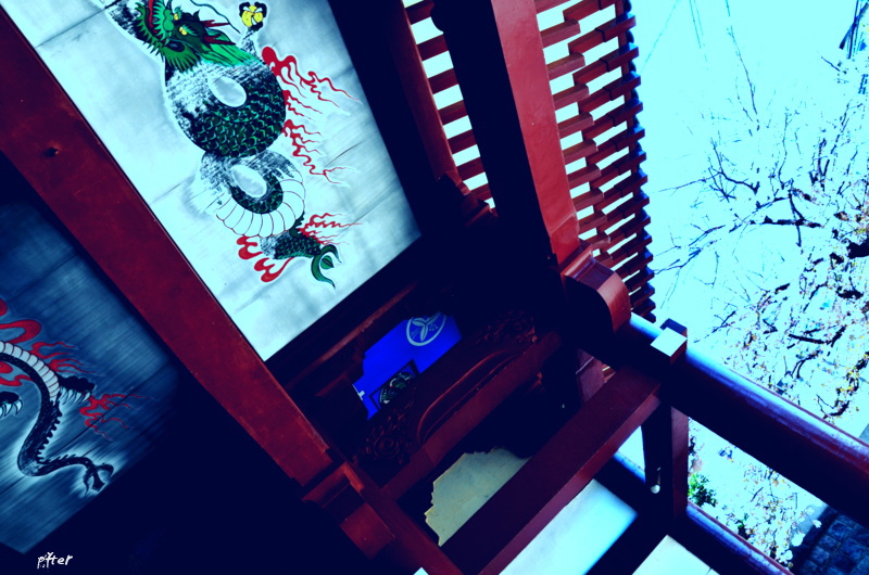 鎌倉は好きな寺が多く存在しています　そのひとつの寺です