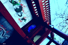 鎌倉は好きな寺が多く存在しています　そのひとつの寺です