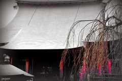 名残の梅が咲いている