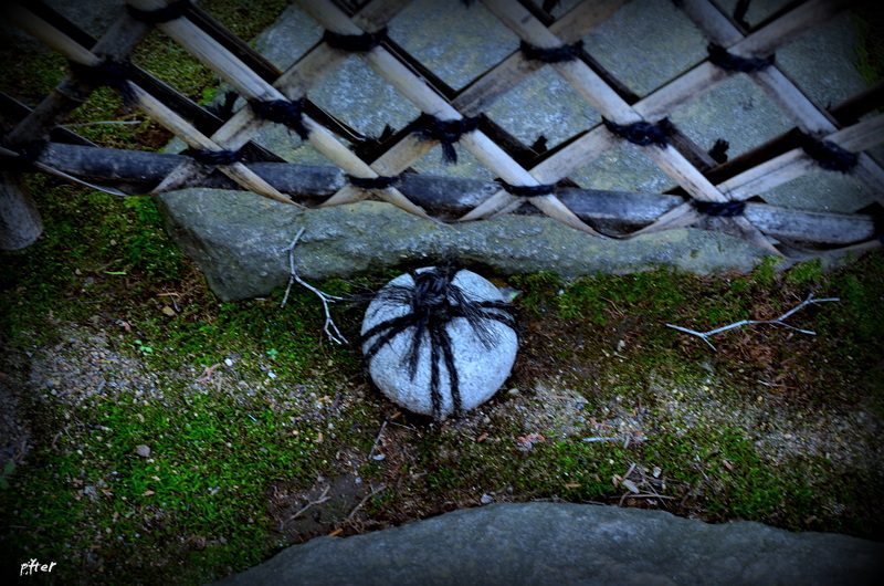 虫はここに入れるパスポートを持っている