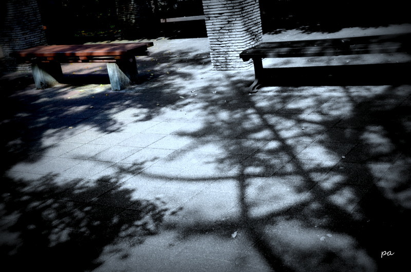 公園　３