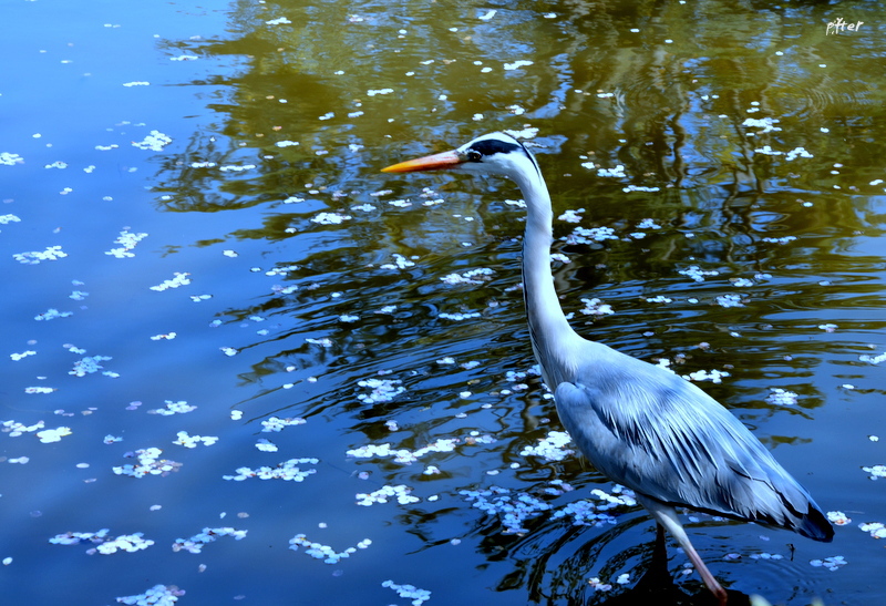 220-DSC_3357