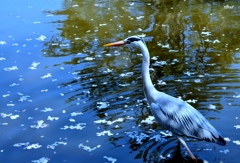 220-DSC_3357
