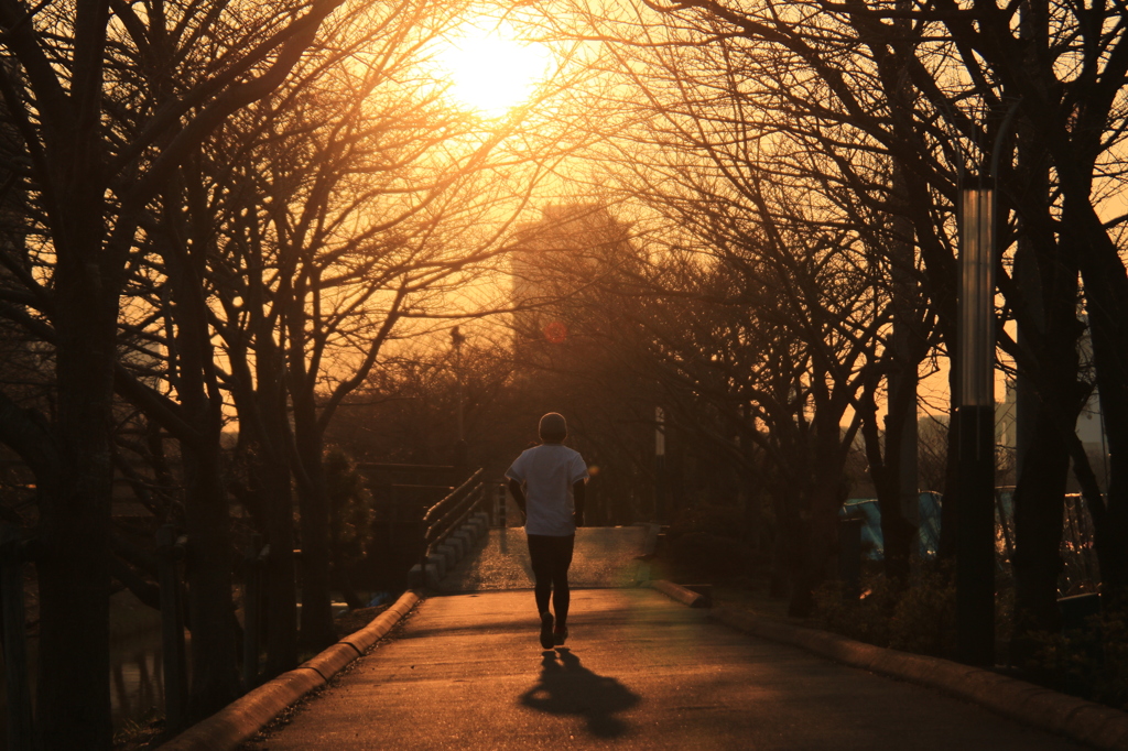 夕日のランナー