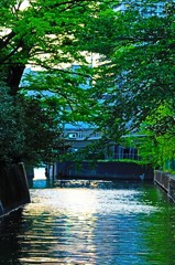緑のゲート~月島~