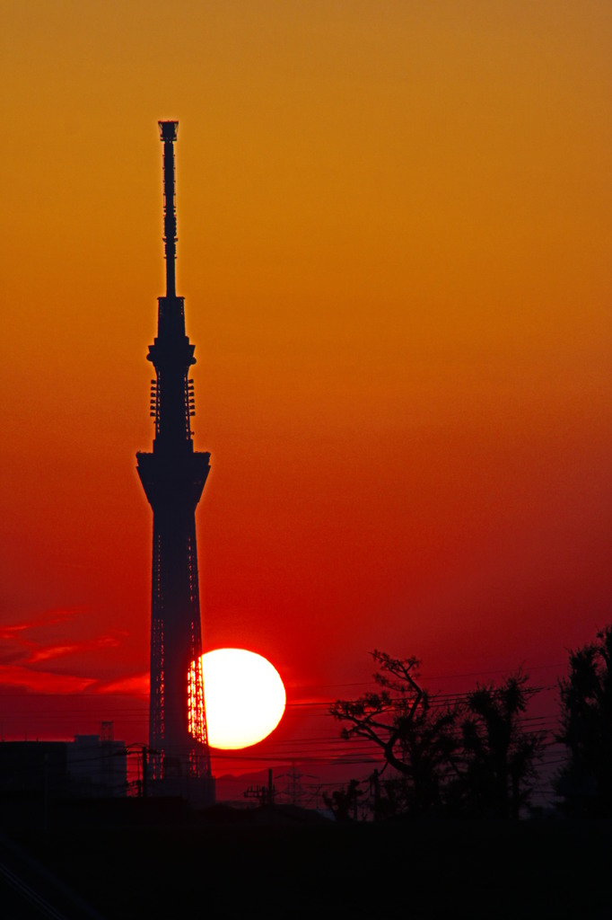 夕焼けスカイツリー