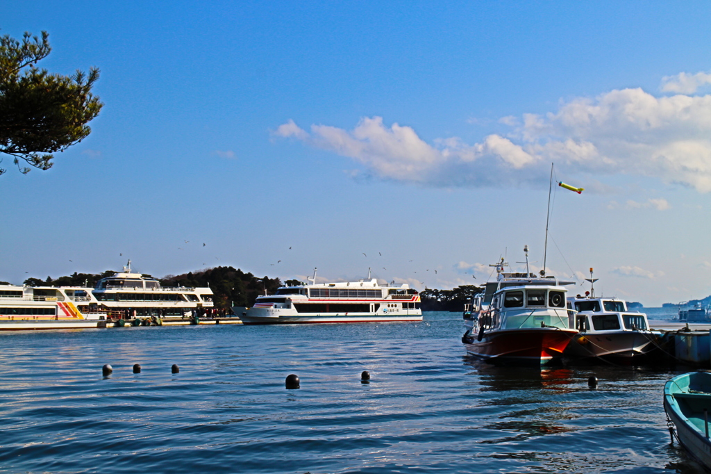 松島の港