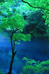 青寂 -せいじゃく-