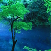 青寂 -せいじゃく-
