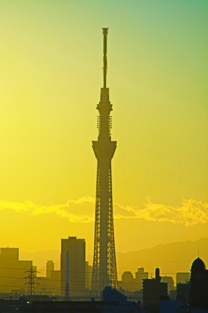 黄金色の空に