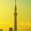 黄金色の空に