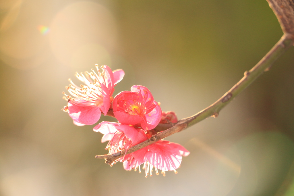 Spring is coming ...