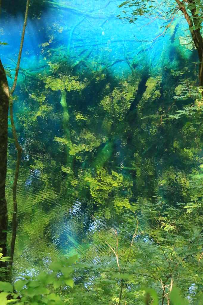 水面のグラデーション　Blue-Green
