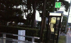 黄色いアイツ