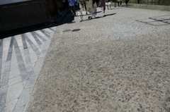 倉敷美観地区の初夏の道
