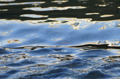 水面の春