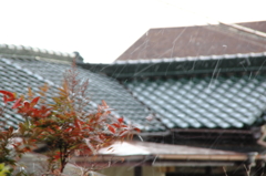 吹雪舞う～～
