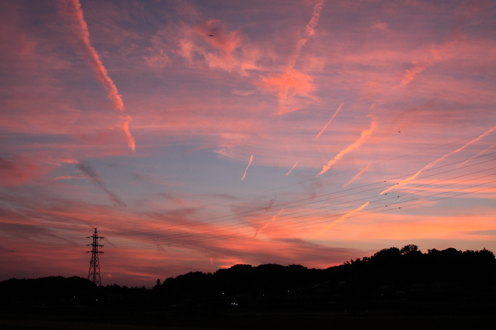 飛行機雲の夕焼け