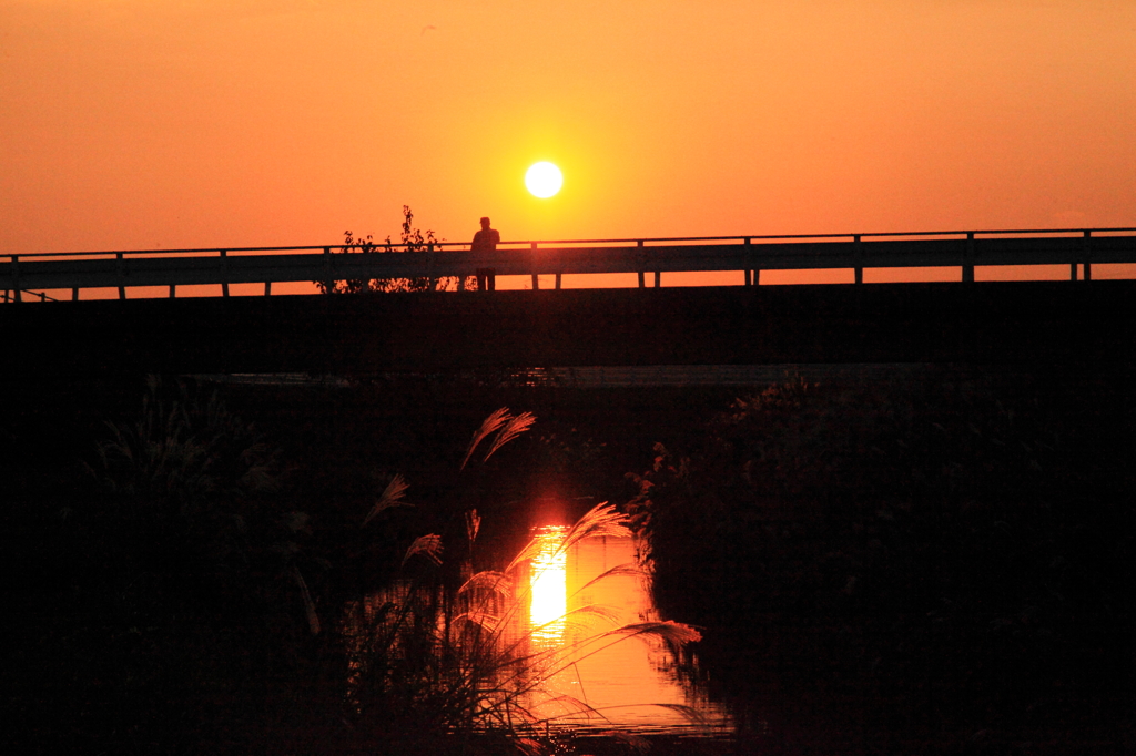 逢妻女川の夕景