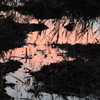 田圃の夕焼け