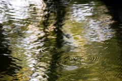 水面の波紋