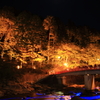 香嵐渓：もみじの下のプラネタリウム９