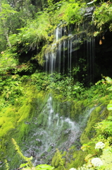 濁河温泉：白糸の滝