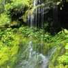 濁河温泉：白糸の滝