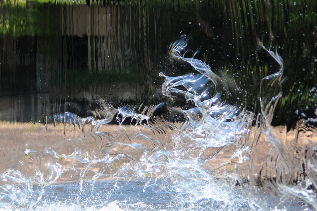 鳥？が飛ぶ滝の流れ