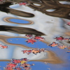 水面の和の美