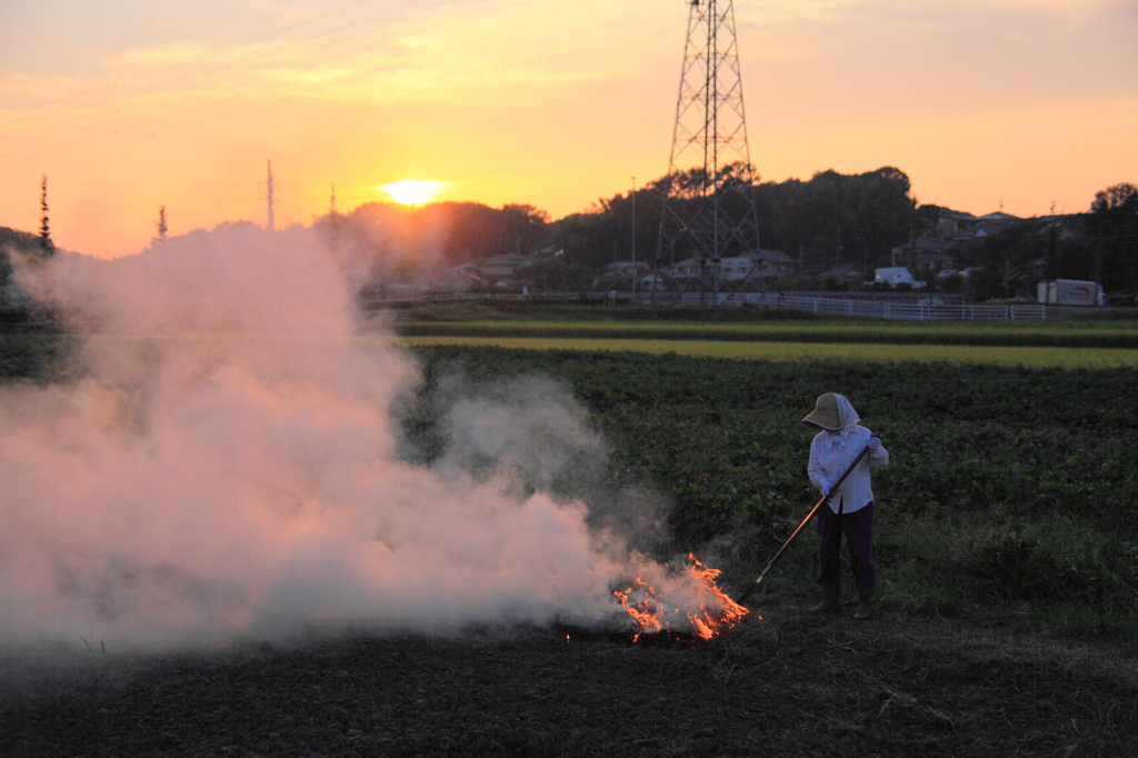 野焼きと夕陽
