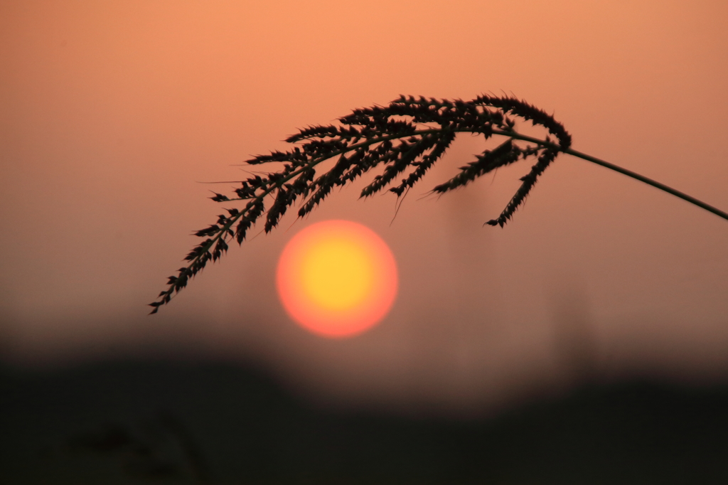 夕陽の詩