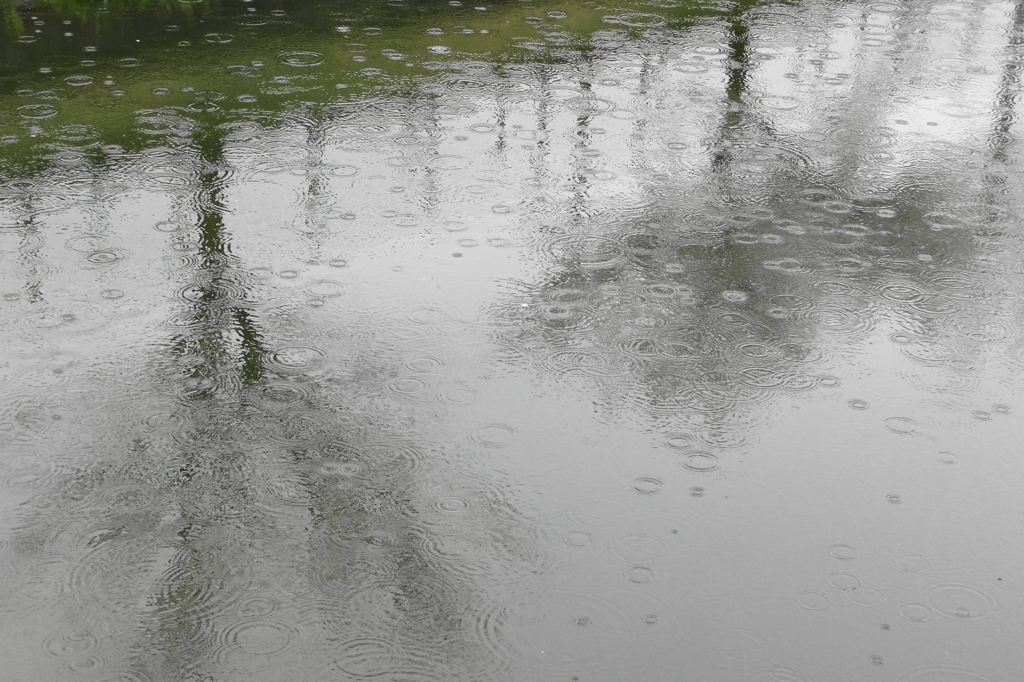 雨の水無瀬川