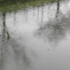 雨の水無瀬川