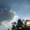 夕陽と光芒 