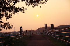 散歩道の夕陽