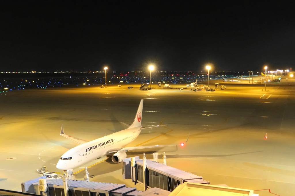 中部国際空港スカイデッキ３