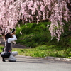 撮る人を撮る