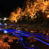 香嵐渓：もみじの下のプラネタリウム８